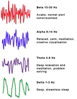 brainwaves